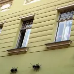 Come eliminare le formiche dalla casa