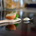 Piani cottura a induzione o a gas: quale scegliere?